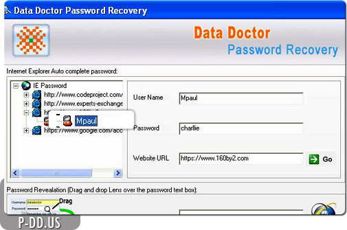 IE Password Recovery