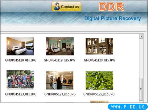 Deleted Digital Image Recovery screen shot